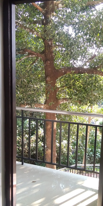 TEAK LAND VAZHIYORAM